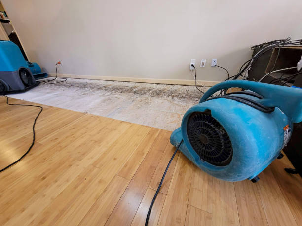 Reliable Water Damage Restoration contractor in Montgomery, PA by Hirex Water Damage