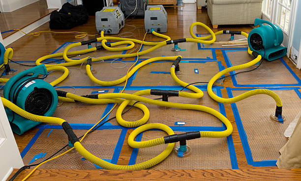 Professional Water Damage Restoration technician working in Montgomery, PA